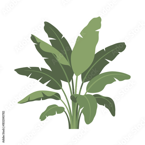 Lush tropical greenery illustration, a botanical display of broad green leaves and organic forms