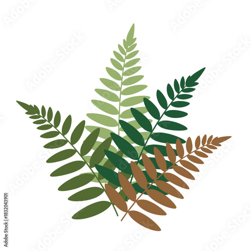 Stylized Fern Fronds in Varied Green and Brown Tones Creating a Natural Element