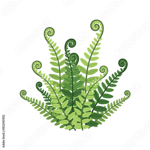 Stylized fern illustration showcasing delicate fronds and intricate scroll details evoking