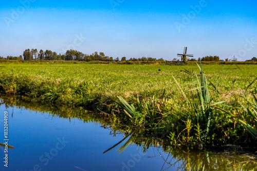 Peaceful meadow in the Netherlands featuring lush green grass and a small windmill on the horizon.