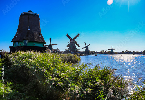 Atmospheric landscape of Zaanse Schans windmills seen through tall grass with sun reflection