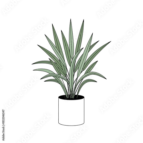 Stylized potted houseplant drawing on white offers minimalist botanical representation