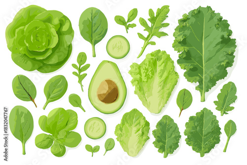 Fresh greens and avocados arranged beautifully on a white background showcasing various salad ingredients for healthy meals