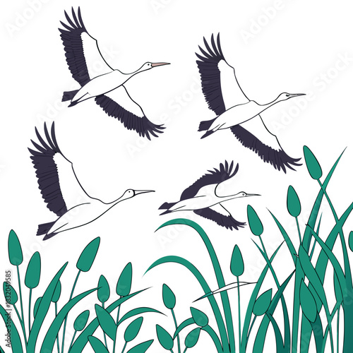 Four graceful white cranes with dark wings fly over lush green reeds and cattails in a stylized illustration