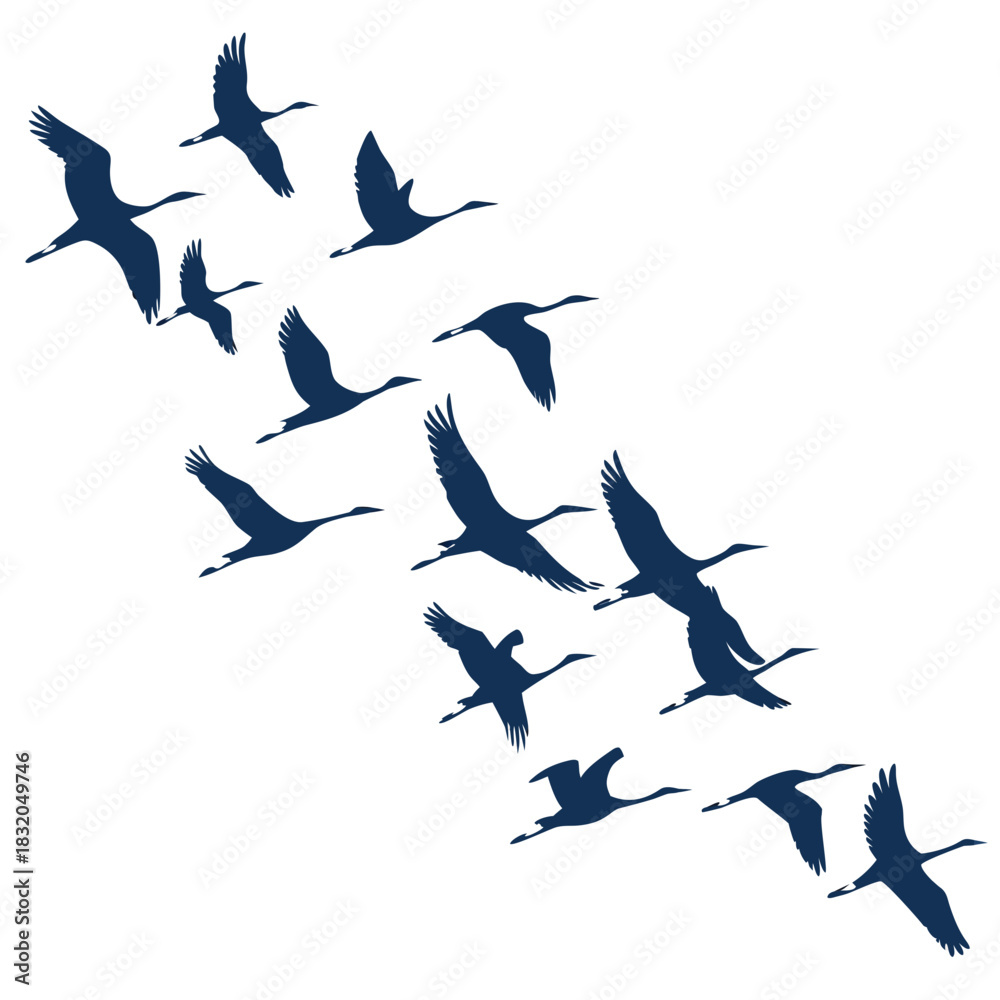 Obraz premium A flock of cranes flying in formation against a white background
