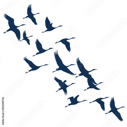 A flock of cranes flying in formation against a white background