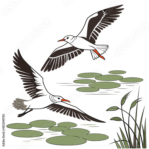 Two stylized birds with outstretched wings flying over a calm body of water with lily pads and reeds