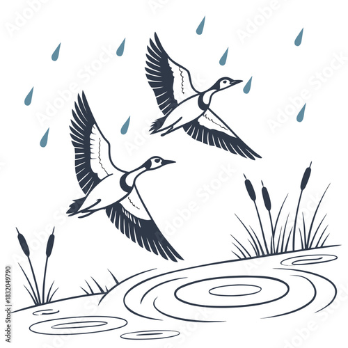 Two canada geese flying over a pond with cattails and raindrops falling