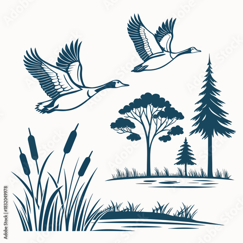 Two canadian geese flying over cattails and pine trees in a natural wetland landscape