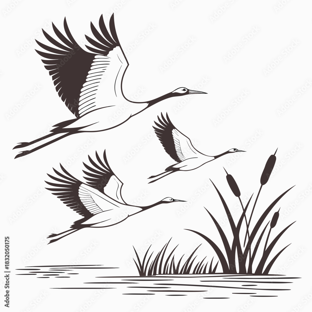 Obraz premium Three elegant cranes in flight over calm water with reeds and cattails in a stylized illustration