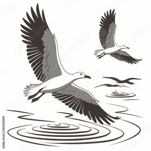 Two seagulls in flight above rippling water with smaller birds in the background