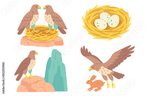 Two hawks nesting, laying eggs, and hunting in their natural environment during daytime in a rocky landscape