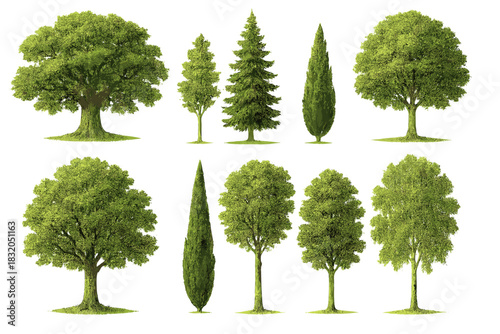 Different types of green trees in a variety of shapes and sizes arranged in a grid pattern