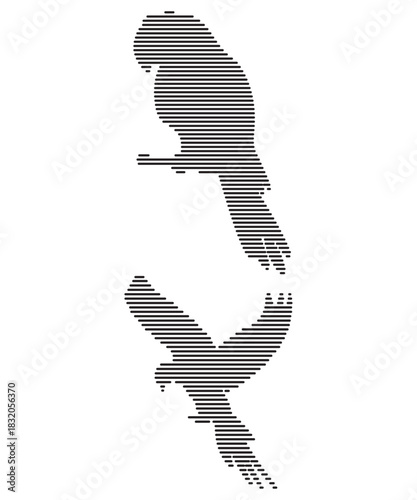 Striped Parrot Silhouette Vector Set in Minimal Line Art.