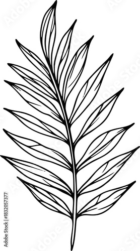 Elegant Hand-Drawn Tropical Palm Leaf Line Art Illustration for Botanical Decor and Design Elements