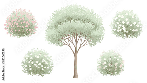 Collection of five stylized flowering oleander bushes and a small tree with light green foliage, isolated on