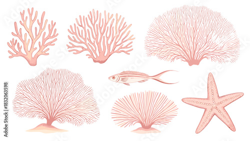 Collection of delicate pink sea fan coral, starfish, and small tropical fish illustration isolated on