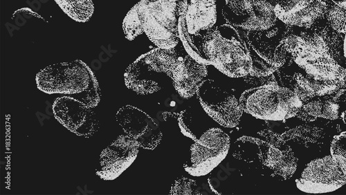 Exploring the beauty of monochrome fingerprints arranged in an abstract pattern with halftone effects against a dark background.