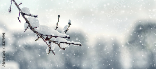 Macro photography of a branch covered with fresh snow with hanging ice drops against the background of heavy snowfall and blurred winter trees creating a frosty, cold and calm winter background