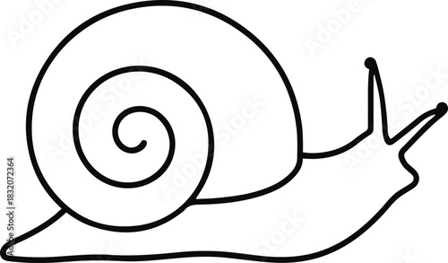 Snail body and shell designed with symmetrical curved lines for balanced simplicity 2
