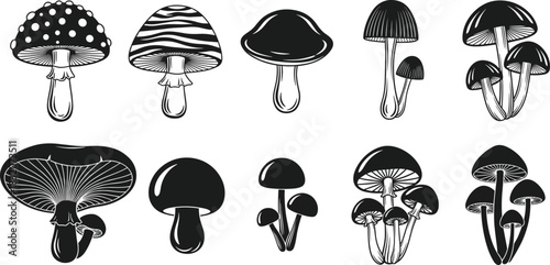 Mushroom silhouette vector set, black and white fungi illustrations, botanical clipart collection, diverse cap shapes, mycology icons, nature-inspired mushroom pack
