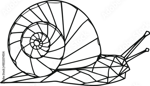 Abstract snail interpretation using geometric lines forming a stylized shell 1