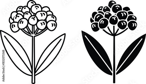 Two simplified plant icons one outline one solid vactor black silhouette black and white