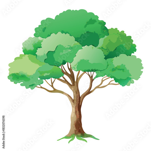Beautiful green tree illustration with layered foliage and a textured trunk, in a clean, watercolor-style design