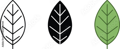 Simple leaf icon set showing outline silhouette and flat color design variations vector graphics illustration