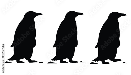 Penguin silhouette vector antarctic birds wildlife illustration