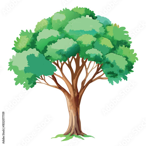 Beautiful green tree illustration with layered foliage and a textured trunk, in a clean, watercolor-style design