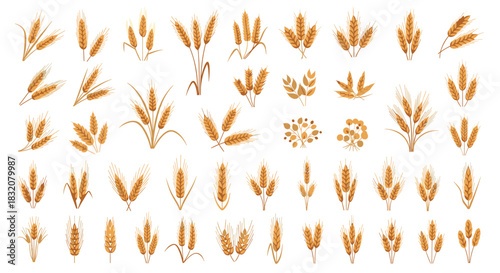 A diverse collection of wheat and grain illustrations, showcasing various forms of cereal crops, stalks, and bundles for agricultural and harvest themes.