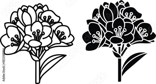 Vactor Black and white line art and silhouette of a cluster of blooming flowers blossom