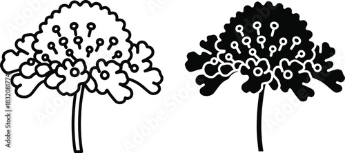 Vactor Black and white line art and silhouette of a cluster of flowers on a stem floral