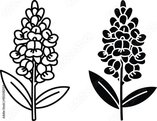 Vactor Black and white line art and silhouette of a flowering plant with leaves botanical