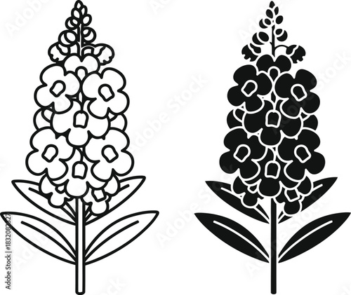 Vactor Black and white line art and silhouette of a foxglove flower with leaves plant