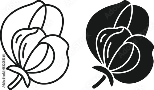 Vactor Black and white line art and silhouette of a sweet pea flower floral botanical