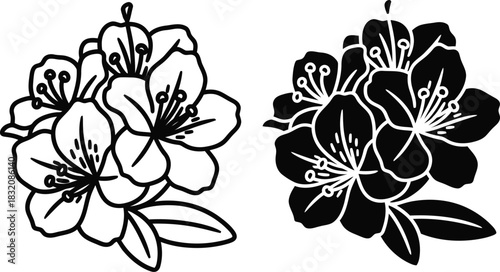 Vactor Black and white line art and silhouette of cherry blossoms and leaves sakura