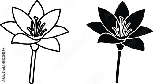 Outline and Silhouette of a Six Petal Flower with Stamens vactor black and white simple