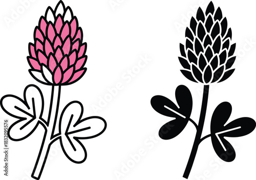 Pink and vactor black clover flower icons with leaves on white background vector