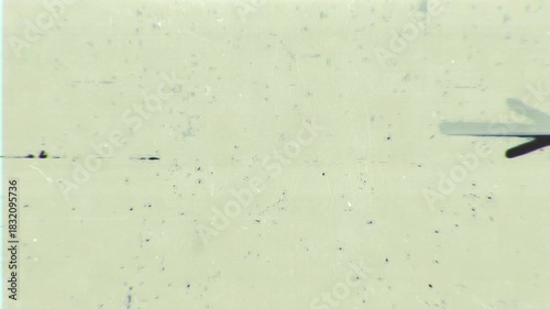 Looping microfiche scan transition in vertical and horizontal formats. Perfect for blending modes, archival looks and retro visual design.
