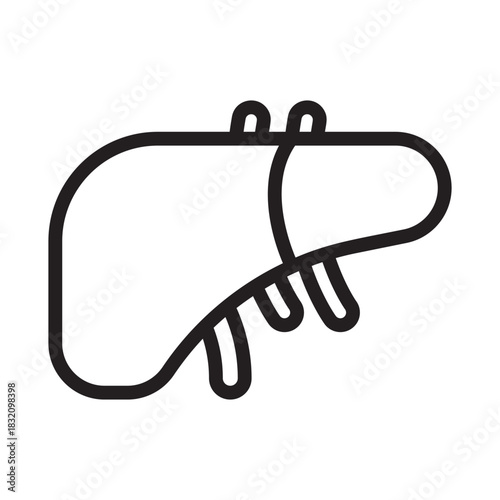 Liver Anatomy Simple Medical Illustration of Internal Organ Human Biology Healthcare Wellness Body Structure and Visual