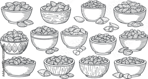 A collection of various bowls filled with almonds in detailed black and white sketch style, ideal for health food branding