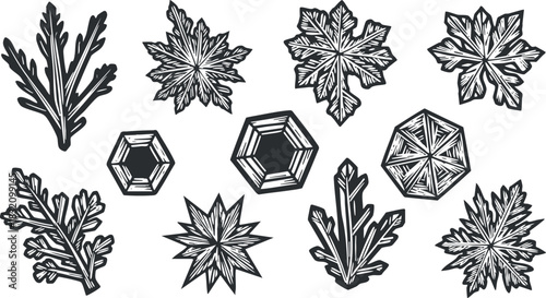 A collection of intricate snowflake and leaf designs in black and white vector style, suitable for winter-themed graphics and crafts