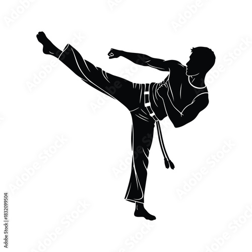 Silhouette of a martial artist performing a powerful side kick with a clenched fist in a dynamic pose