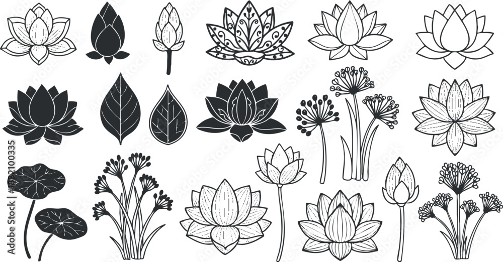 Obraz premium A collection of various flower and leaf illustrations in black and white outline vector style, suitable for botanical design projects