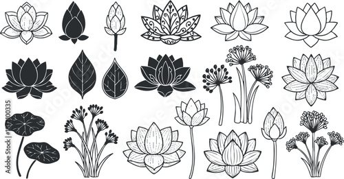 A collection of various flower and leaf illustrations in black and white outline vector style, suitable for botanical design projects