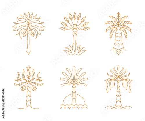 Set of linear stylized palm trees. Various tropical symmetrical illustrations