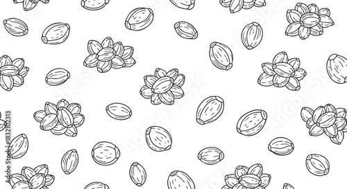 A collection of almond flowers and nuts in a linear outline vector style, suitable for packaging and botanical designs