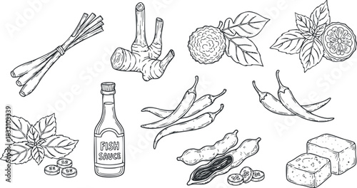 A collection of hand-drawn herbs, spices, and condiments in black and white vector style, suitable for culinary illustrations and recipe design